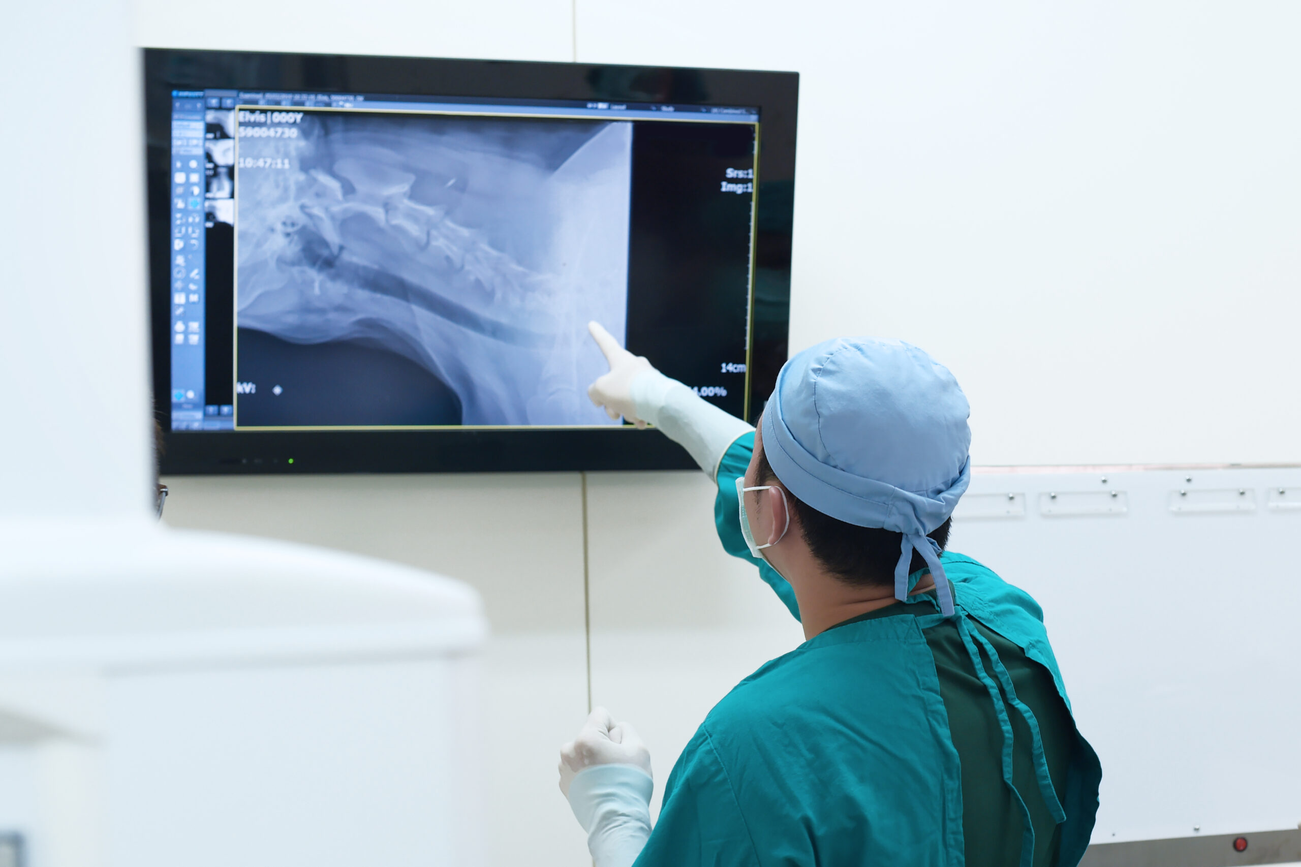 veterinary surgeon examining x ray in surgery Veterinarian examining pet x-ray.