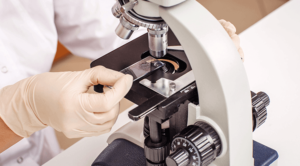 Doctor using microscope in the in-house laboratory.